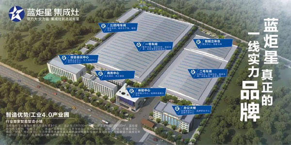 嵊州市市委副书记、市长严钢一行领导督察新城注册集成灶2019年重点建设项目