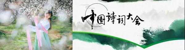 新城注册集成灶