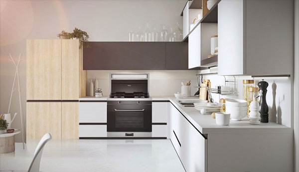 风暴娱乐D6Z集成灶