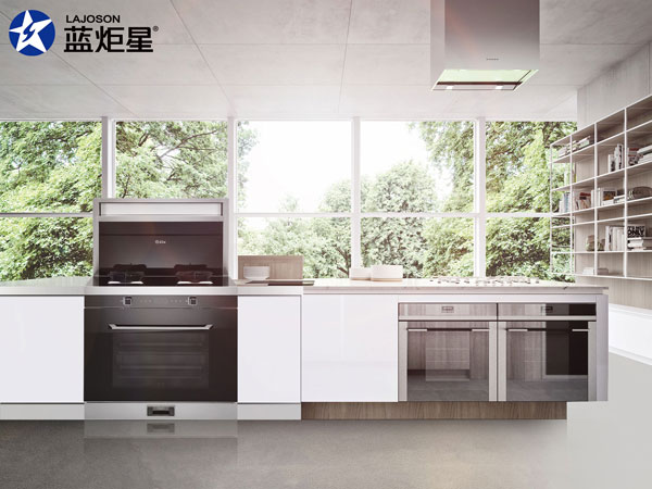 新城注册集成灶D6Z