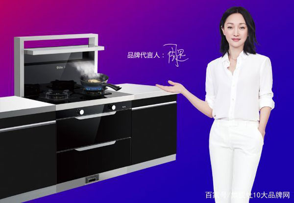 新城注册集成灶代言人—周迅